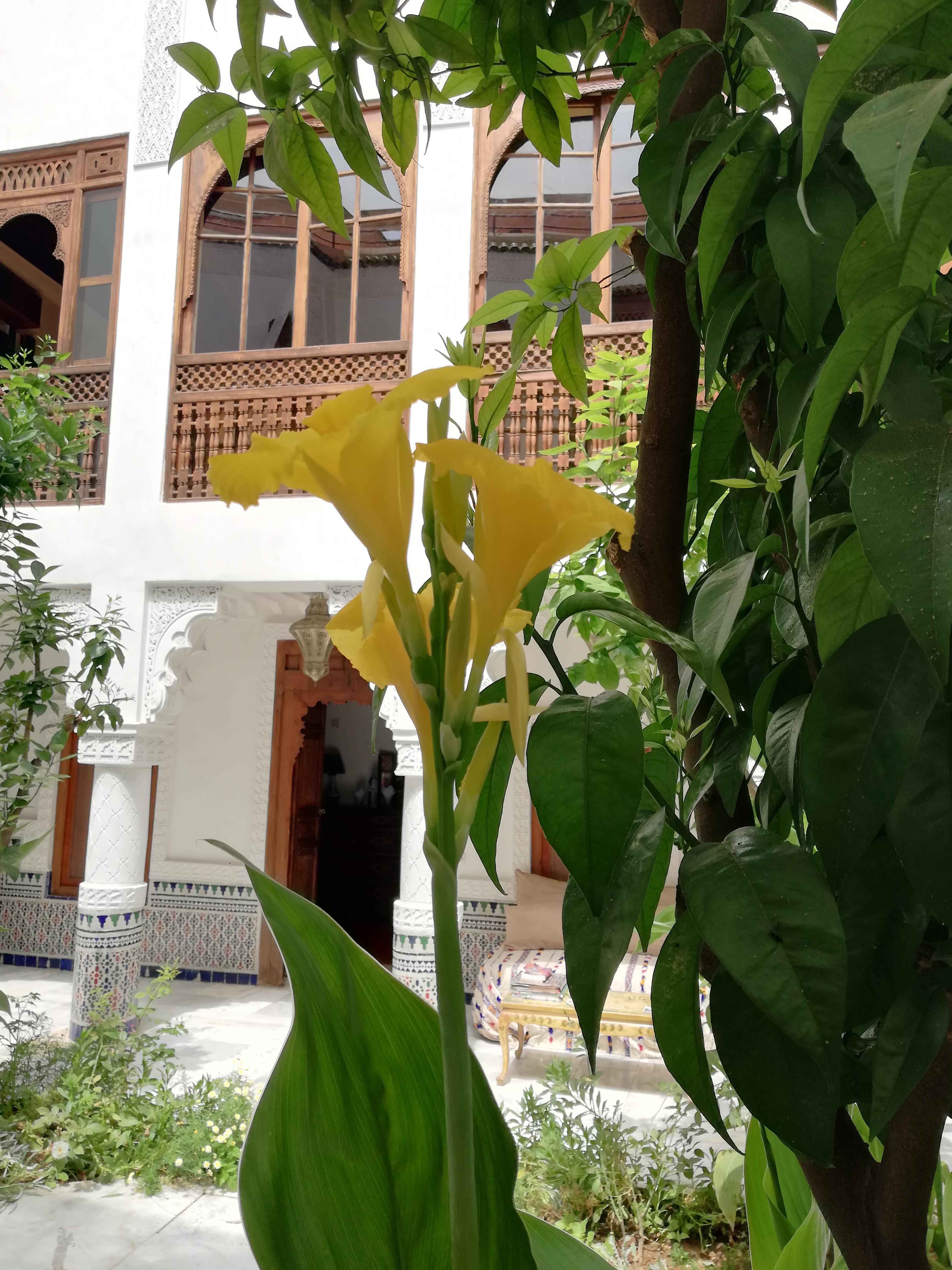 Riad Ben Youssef Marrakesh Exterior photo